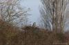 2IRYC 2024_03_03 0014